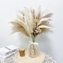 Lighters 100 Pcs Pampa Grass Dry Flowers Bouquet for Flower Arrangement Natural Brown White Reed Rabbit's Tail Grass Bohemian Home Decor