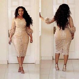 2020 Champagne Mermaid Plus Size Mother Off Bride Dresses Jewel Neck 3 4 Long Sleeves Lace Applique Tea Length Wedding Guest Eveni256J