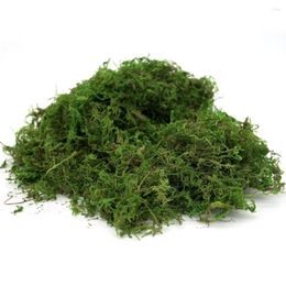 Decorative Flowers 50/100g Fake Moss Artificial Green For Potted Plants Fairy Garden Accessories