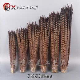Cushion 10pcs/lot Natural Ringneck Pheasant Tail Feathers for Crafts 2575cm 1030" Wedding Decorations Pheasant Feather Plumes P