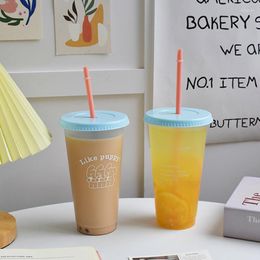 Water Bottles Plastic Bottle Cute Coffee Juice Milk Tea Kawaii Leng Cup With Straw Reusable Teacup Lid Portable 1 Piece Pack 700 ML