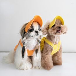 Dog Apparel Thickening Sportswear Straps Skirt Pet Clothes Cat And Clothing Teddy Bear Coat Hat Kawaii Designer