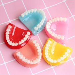 Charms 2pcs Funny Dentures Resin Tooth Pendants Exaggerated Molar Upper Jaw Model Shape Halloween Gifts Necklace Keychain Making