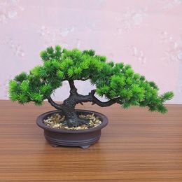 Decorative Flowers Simulation Welcome Pine Bonsai Indoor Desktop Furnishings False Flower Plants Small Potted Living Room Green Plant