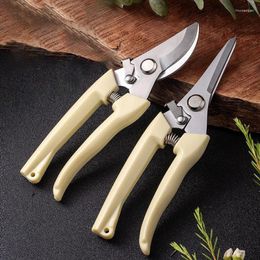 Storage Bags Pruning Garden Scissors Professional Trimmer Orchard Hand Tools Bonsai Gardening Chopper