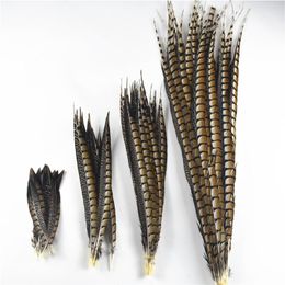 Cushion 10pcs/lot Natural Lady Amherst Pheasant Feathers for Crafts 30120cm/1248" Craft Feathers Decoration Long Feathers Decor Diy