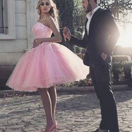 Baby Pink 2020 Graduation Dresses Puffy Ball Gown Lace Beading Girls Party Homecoming Dress Plus Size Lace Up Mini Length Tutu Ski2806