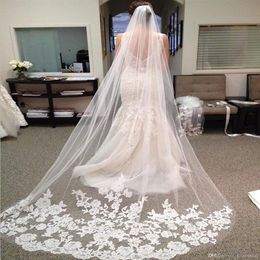Selling Cheapest 3 Meter Long Chapel Length Bridal Veil Appliques Veu De Noiva Longo Wedding Veil Vintage Lace Purfle with Co241A