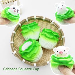 Novelty Vent Ball Animal Cabbage Cup Toys Antistress Sensory Squeeze Cup Toy Decompression Fidget Stress Reliefing Gift For Kids Adults 2268