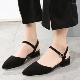 Summer 2024 Roman Ladies Fashion Sandals Suede Pointed High Heels Casual Square Heel Buckle Strap Plus Size 42 Womans 34