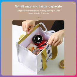 Storage Bags Cartoon Lunch Bag Multifunctional Thickened Aluminum Foil Portable Waterproof Insulation Box Outdoor Picnic Bento