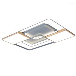 Ceiling Lights 2023 LED Dimmable Lamp Modern Fashion Creative Gray Square/ Rectangle Luminaire For Living Room Bedroom Restaurant
