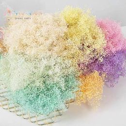 Decorative Flowers Natural Small Baby Breath Gypsophila Bouquet Garden Wedding Decoration Colourful Millions Of Stars Dried Boho Home Decor