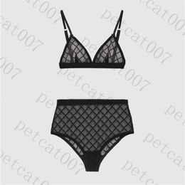 Lace Embroidery Women Bra Set High Waist Womens Underwear Bikini See Through Ladies Lingerie Swimwear245j