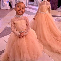 Chic Champagne Lace Long Sleeve Flower Girl Dresses Black Litter Girls For South African Wedding High Neck Cute Teens Bridal Party331S