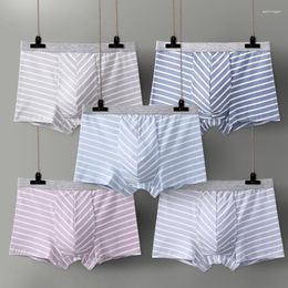 Underpants Men's Underwear Boxer Shorts Pure Cotton Striped Breathable Young And Middle-aged Sports Pants3PCS