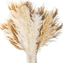 Decorative Flowers 100 Pcs Large Pampas Grass Wheat Stalks 17 Inch Natural Dried For Flower Arrangements Home Boho Country Wedding Decor