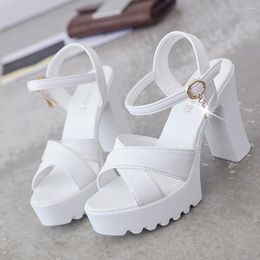 Sandals Women Fish Mouth Casual Platform High Heel Wedges Elegant Medium Women's Shoes Fashion Buckle Slope Summer Footwear