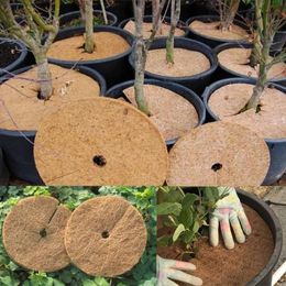 Supports 30/40/45/60cm Natural Coco Coir Fiber Tree Mulch Ring Protector Organic Mat for Indoor Outdoor Disc Plant Cover Flower Pot