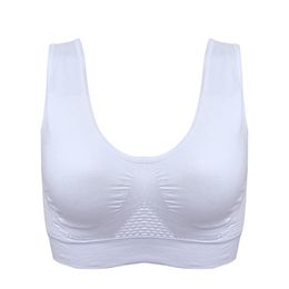 Sport Bra Workout For Women Gym High Impact Holes Sexy Bra with Removable Pads Stylish Tops Underwear Without Steel Fitness Bras220m