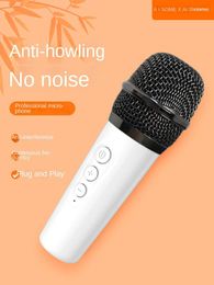 Microphones Wireless Microphone Anti-whistle Home Singing KTV Stage Meeting Wedding Host Outdoor K Song