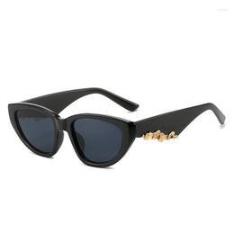 Sunglasses 2023 Cat Eye Woman Fashion Big Frame Sun Glasses Female Retro Shades UV400 Black White Colour