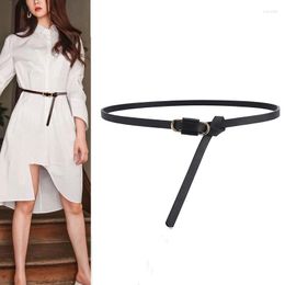 Belts Fashionable Simple Clothing Thin Belt Gold Locking Type Buckle Waist Strap Ladies Decorative Dress Suit Jeans Waistband