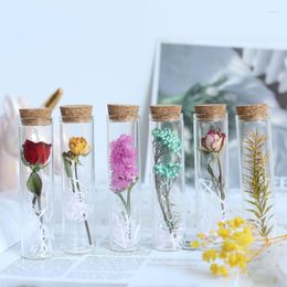 Decorative Flowers Mini Wishing Bottle Glass Test Tube Dried Flower Rose Immortal Gypsophila Creative Companion Valentine's Day Gift Fleur