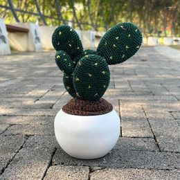 Decorative Flowers Crochet Woven Cactus Plants Bonsai Artificial Hand-Knitted Original Gifts For Room Home Table Office Desktop Decorations