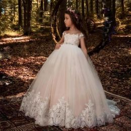 Princess Backless Lace Ball Gown Flower Girls Dresses Champagne Applique Kids Pageant Gowns Little Girl Birthday Party Dresses256c