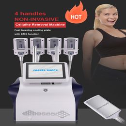Cryo Plates with Ems Cryolipolysis Pads Fat Freezing Ems Electrical Muscle Stimulation Ice Board Cryo Plate Cooling Pads Machine Cellulite Reduction