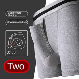 Underpants Men's Underwear Cotton Boxer Shorts Separation Penis Pouch Boxershorts Male Hombre Elephant Bulge Panties