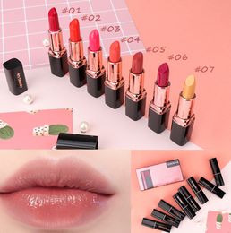 Bean paste Colour nude lipstick lip balm does not touch the color, many style choices, support custom LOGO