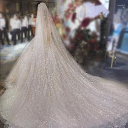 Bridal Veils Luxury Sparkle Cathedral Wedding Long 3 Metres Shiny Sparkling Veil With Comb Bride Accessories