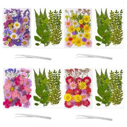 Decorative Flowers 1 Pack Dried UV Resin Flower Stickers Dry Beauty Decal For DIY Epoxy Filling Jewellery Decoration Craft Accessor