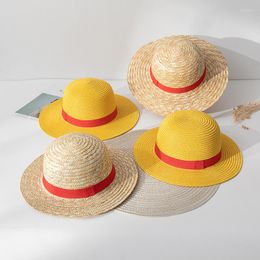 Wide Brim Hats Paper Woven Luffy Straw Hat COSPALY Anime Dress Up Parent-child Sun Protection Cap Performance Caps Wholesale