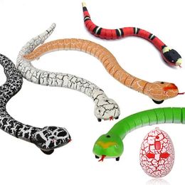 Electric/RC Animals Remote Control Snakes Smart Sensing Snake Interactive Toys USB Charging Rattlesnake Pet Teaser Play RC Animals Toy 230724