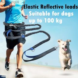 3 Colours Dogs Leash Harnesses Outdoor Running Elasticity Hand Freely Pet Dogs Harness Collar Jogging Lead Adjustable Waist Rope L230620