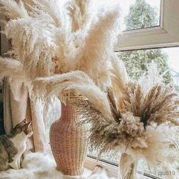 Dried Flowers 10Pcs Large Grass Flowers Tall for Dried Flower Home Fluffy Natural Bouquet Wedding Arch Flower Decor R230725