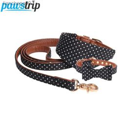 pawstrip 4 Colours Dot Small Dog Collar Bandana Soft Leather Dog Leash Cute Bow Cat Collar Pet Teacup Chihuahua Collar Leash Lead L230620