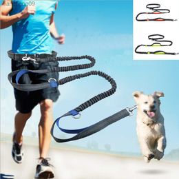 Reflective Leash Traction Rope Pet Dog Running Belt Elastic Hands Freely Jogging Pull Dog Leash Metal D-ring Leashes L230620