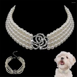 Dog Collars Pearl Necklace Collar Fashion Puppy Cat With Bling Rhinestone Diamante Pet Accessories Supplies