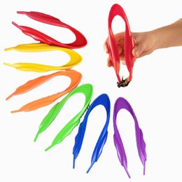 Wholesale 15Cm Colorful Insect Clips Children Outdoor Exploration Tool Teaching Tools 0426