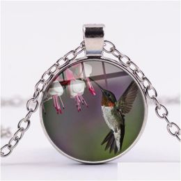 Pendant Necklaces Blue Hummingbird Picking Honey Necklace Colorf Bird Art Flower Picture Glass Dome Round Pendants Lovely Animal Jewel Dhzht