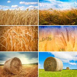 Background Material Bonvvie Photography Background Golden Wheat Peak Grass Crops Autumn Farm Haystack Background Props Photocall for Photo Studio x0724