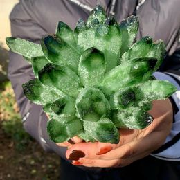 New Find Green Phantom Quartz Crystal Cluster Mineral Specimen Healing256A