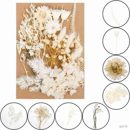 Dried Flowers Natural Mixed Art Dried Flowers for Epoxy Resin Dried Flowers Set Craft Natural Plant Pressed Flower Resin Mould Material Package R230725