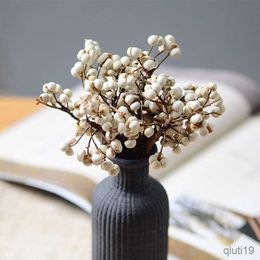 Dried Flowers 20pcs Natural Cotton Balls Dired Flower Plants Dry Real White Fruit Bunch Decorative Flowers Diy Wedding Home Decoration R230725