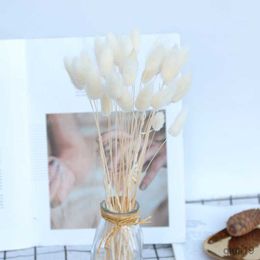 Dried Flowers 30pcs Fluffy Dried Flowers Bouquet Home Decor Natural Bunny Rabbit Tail Grass Artifical Flower Wedding Decoration R230725