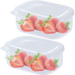 Storage Bags Freezer Box Kitchen Organizer With Lid Clear And Portable Containers For Fridge Cabinet Desk Fruit